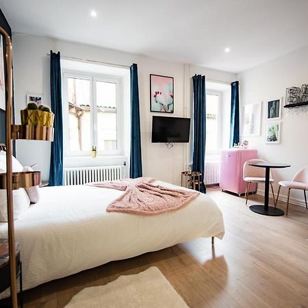 Theatre Sinne Luxury Apartement Mulhouse Værelse billede